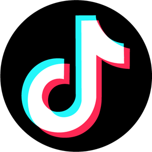 tiktok icon